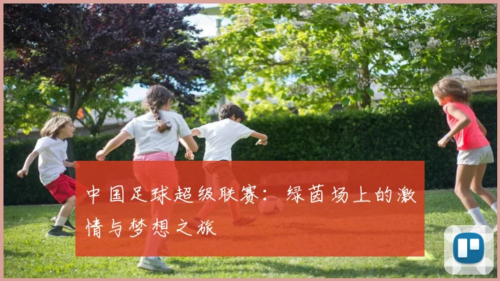 中国足球超级联赛：绿茵场上的激情与梦想之旅