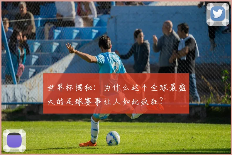 世界杯揭秘:为什么这个全球最盛大的足球赛事让人如此疯狂?