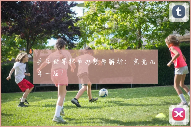 乒乓世界杯举办频率解析：究竟几年一届？
